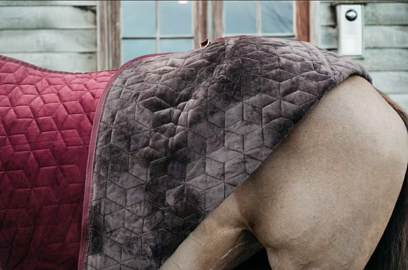 Kentucky Show Rug Velvet