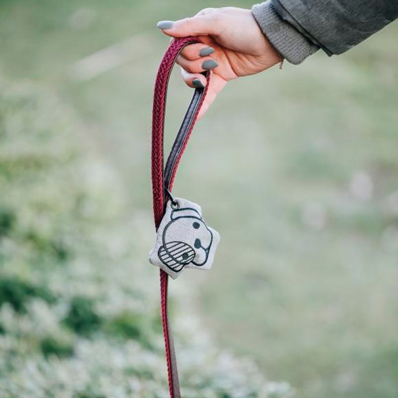 Kentucky Dog Pooh Bag