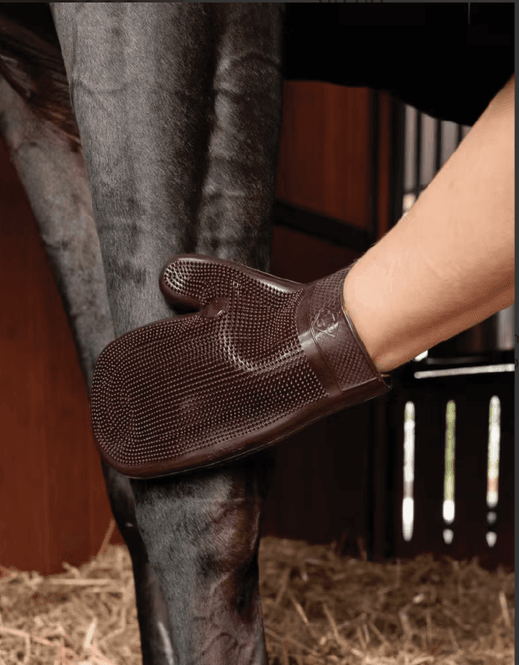 Hovedbilde Grooming Deluxe Rubber Grooming Glove