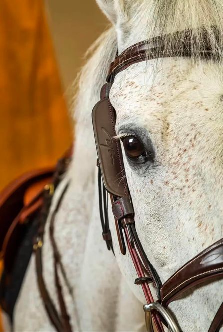 Hovedbilde Dyon Blinkers