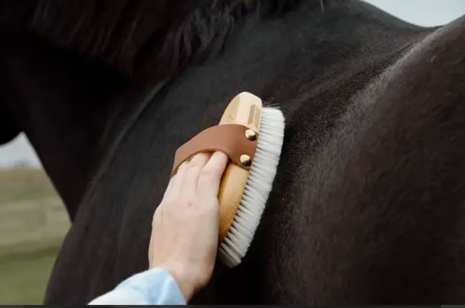 Hovedbilde Grooming Deluxe Small Overall Brush Body Soft