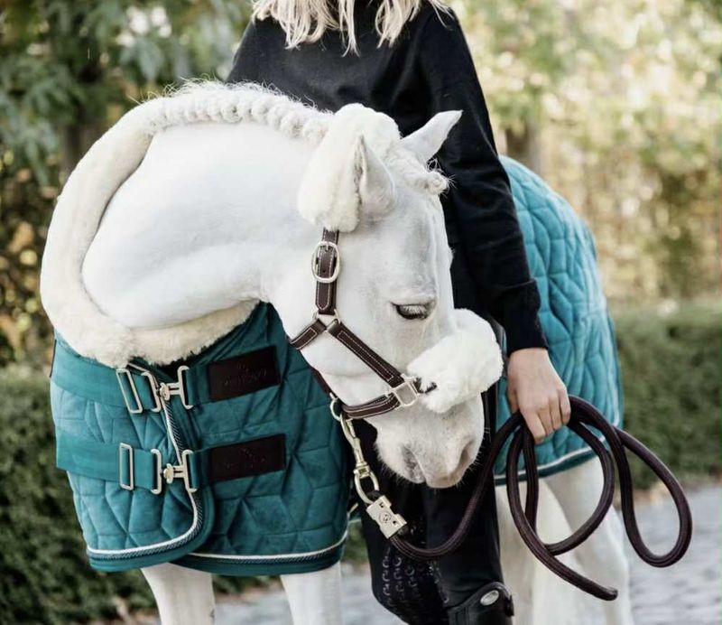 Kentucky Show Rug Velvet