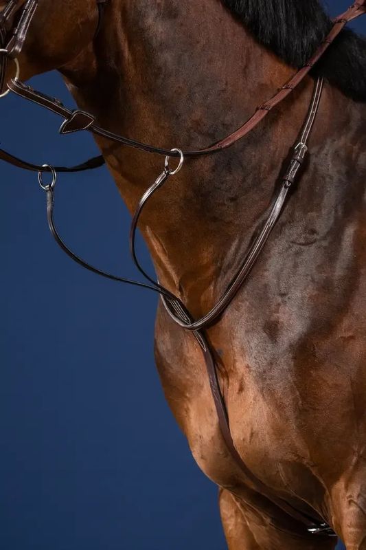 Dyon Running Martingale US Collection