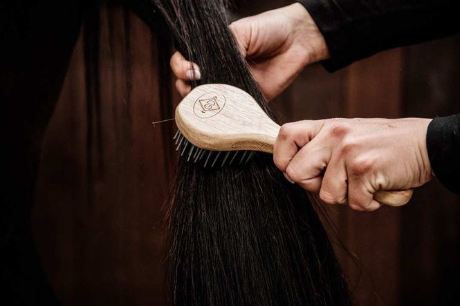 Hovedbilde Grooming Deluxe Mane Brush