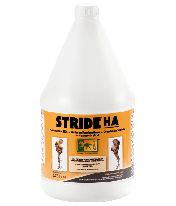 Hovedbilde STRIDE HA