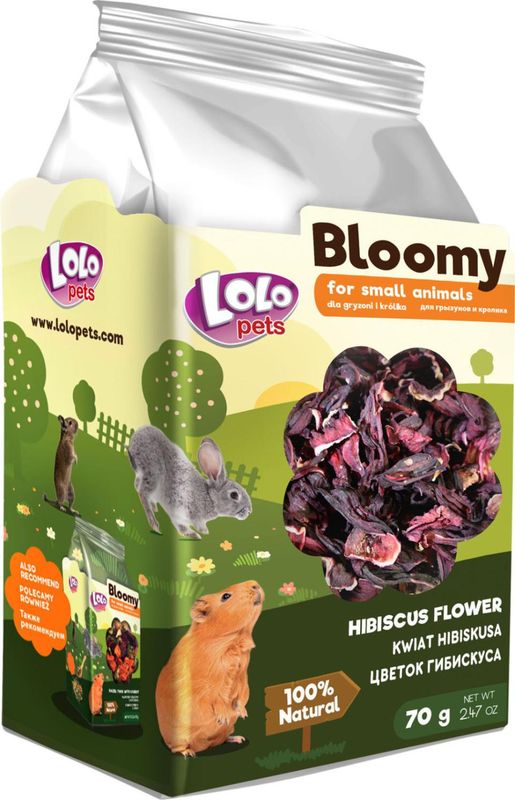 Blomstrende Hibiskusblomst for Gnagere og Kaniner