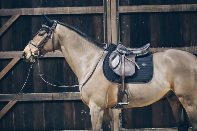 Hovedbilde Kentucky Saddle Pad Pearls SJ