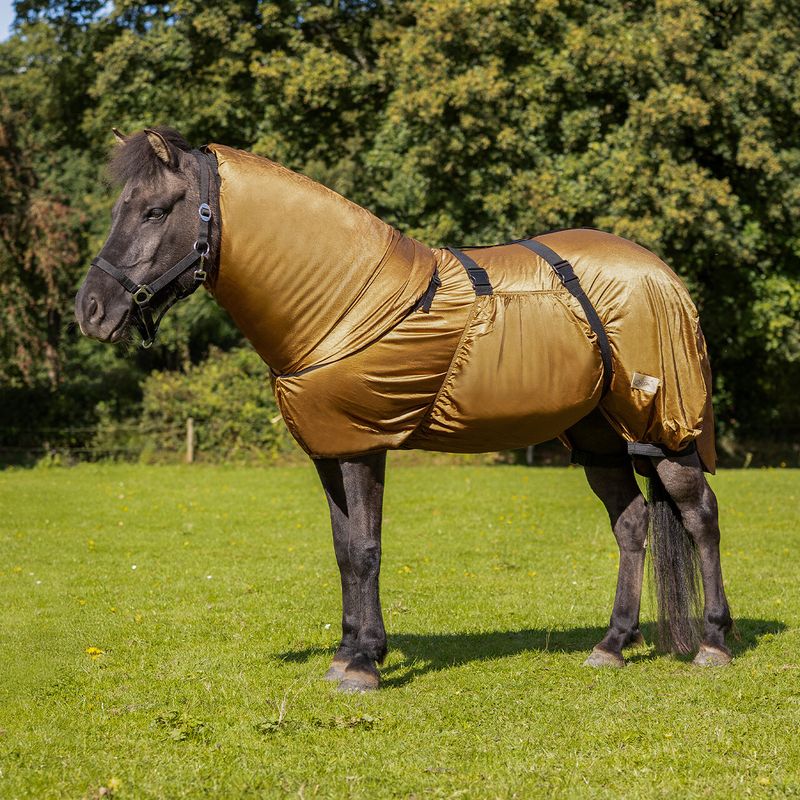 QHP Eczema Rug Icelandic Brun