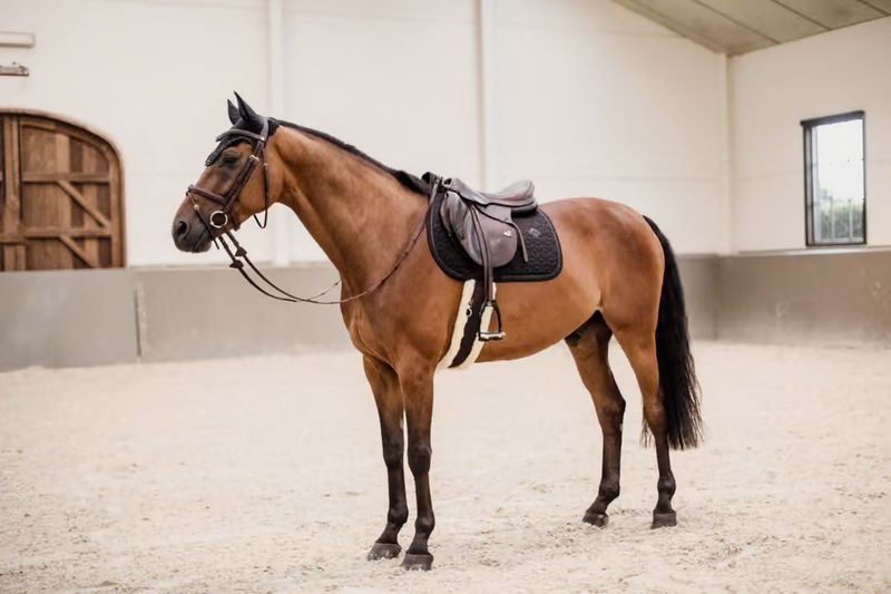 Kentucky Saddle Pad Glitter Rope SJ